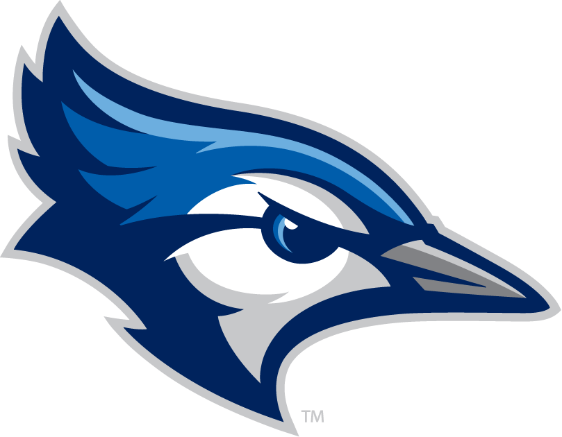 Creighton Bluejays 2013-Pres Alternate Logo v2 diy DTF decal sticker